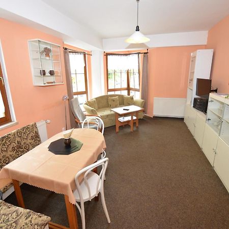 Snug Apartment In Jachymov Near Ski Area Экстерьер фото